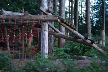 A log climbing frame with red rope netting among tall forest trees